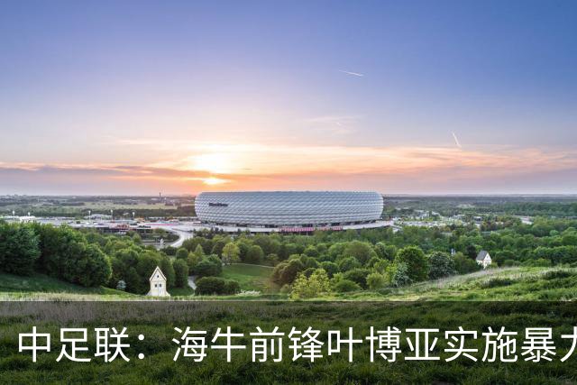 中足联：海牛前锋叶博亚实施暴力行为 停赛4场罚款4万
